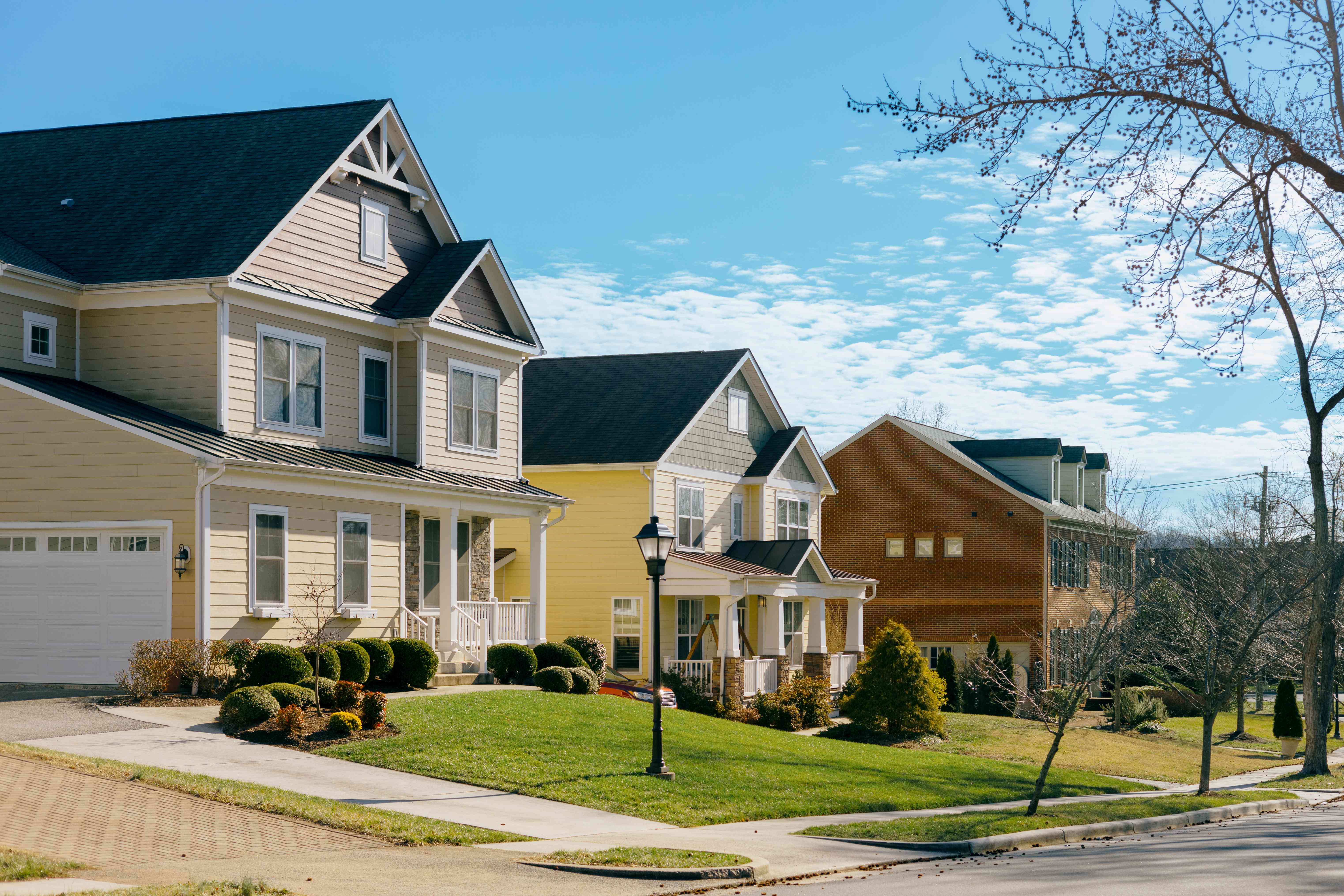 Street view of detached homes 